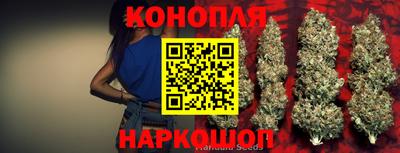 гашик Волжский