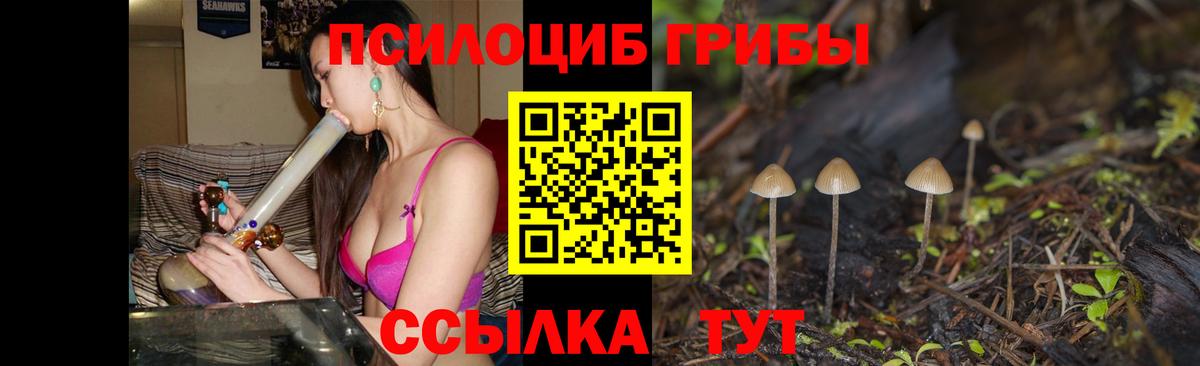 Псилоцибиновые грибы MAGIC MUSHROOMS Назарово